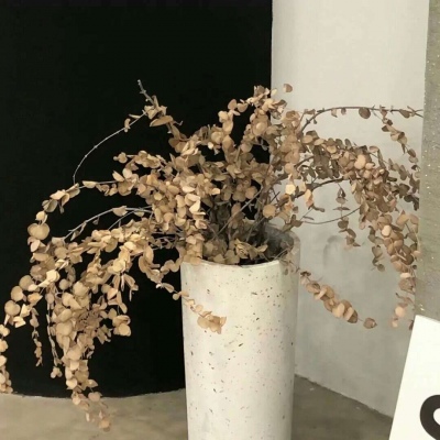 兽设黎明场景创作福瑞交流群